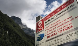 A 1080 sign on the Milford Track
