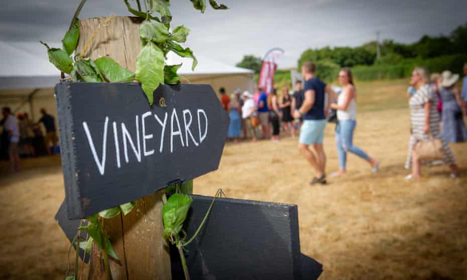 FizzFest offers tastings of 16 still and sparkling wines from eight Hampshire vineyards