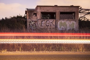 several barn owls in an abandoned concrete building near a busy road in Israel