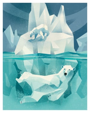 Polar bear