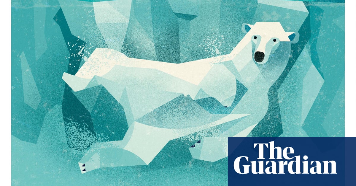 What are the best illustrated non-fiction books for children? | Children's  books | The Guardian