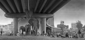 Underpass with elephants