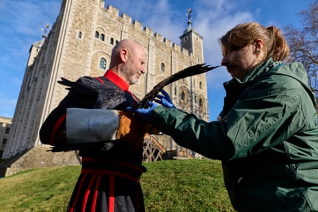 With ravenmaster Barney Chandler