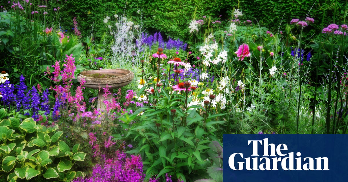 What’s the buzz? Why the cottagecore garden trend is great for bees and biodiversity