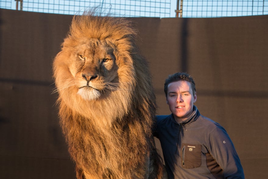 Britain's Last Lion Tamer: 'It's Not The Archaic Victorian Practice People  Imagine' | Circus | The Guardian