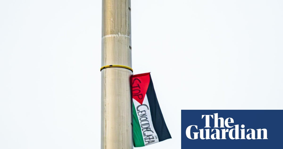 Mystery Palestinian flag continues to fly high over Dublin as removal deemed too risky