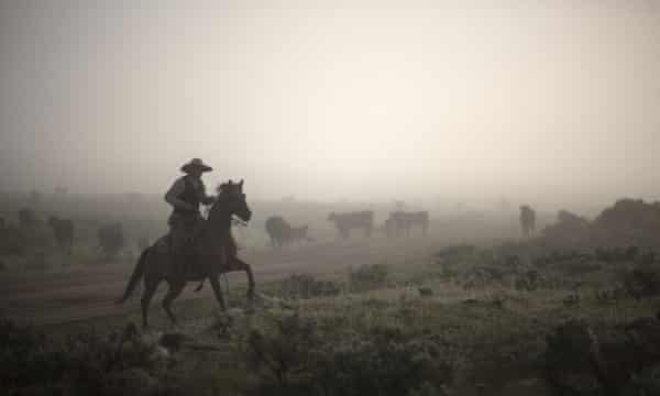 Un' rancho del siglo XXI es realmente gestión de la tierra', según RuPaul, cuyo esposo alquila derechos de pastoreo a otros propietarios y derechos mineros a compañías petroleras.