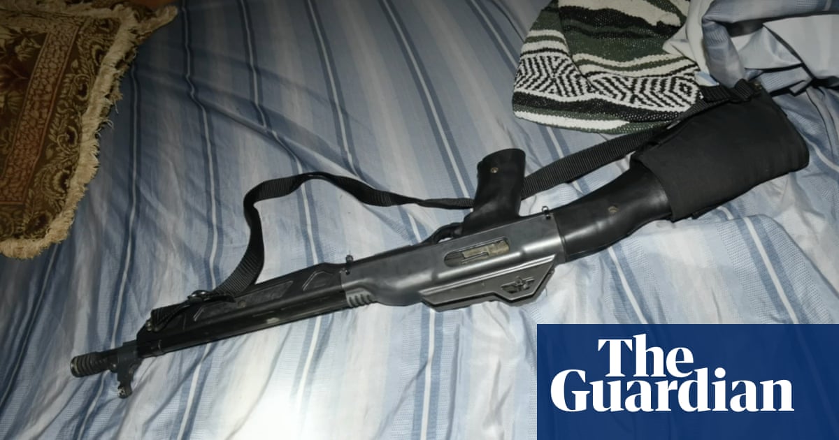 How the US fails to take away guns from domestic abusers: 'These deaths are preventable' | US news | The Guardian