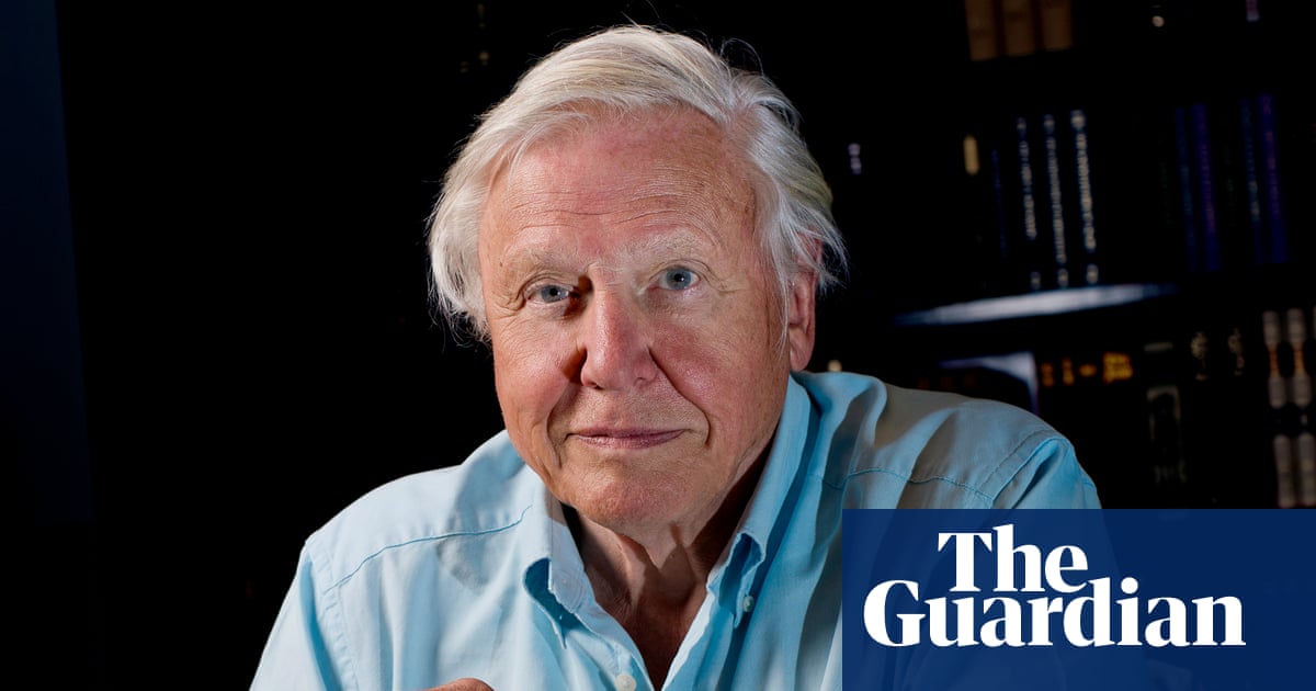 A true pinch-me moment': memories of David Attenborough as he turns 100