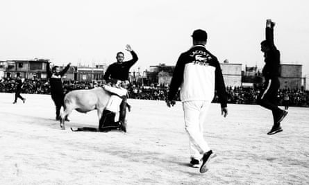 sheep fighting in Algiers