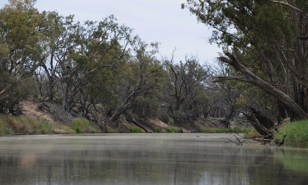 Part of the Murray-Darling basin