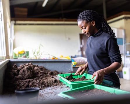 A woman holding a tray of soil and a trowel, planting seedlings