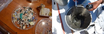 Left: a sample of the plastic pieces collected throughout the eXXpedition voyage. Right: mud from the Victoria marina floor, which will be shipped to the UK for analysis to determine what plastic materials and pollutants are in it.