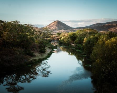 A wide river flanked by trees with a mountain in the distance
