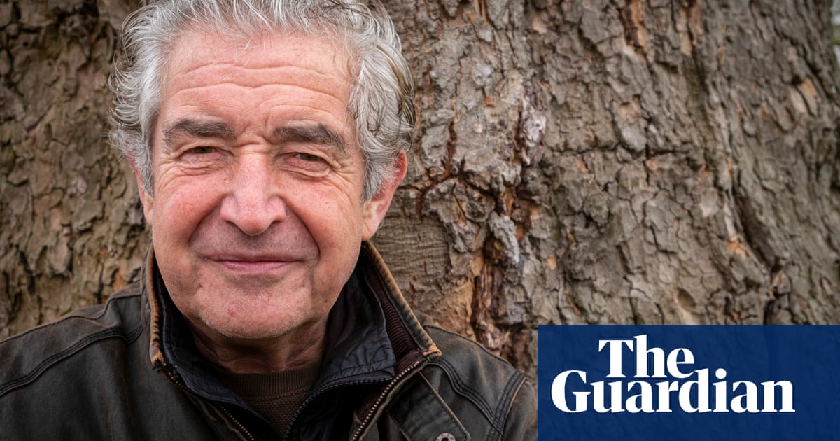 Warning: UK nature chief warns of ecosystem collapse as butterfly populations halve | Conservation Warning: UK nature chief warns of ecosystem collapse as butterfly populations halve | Conservation