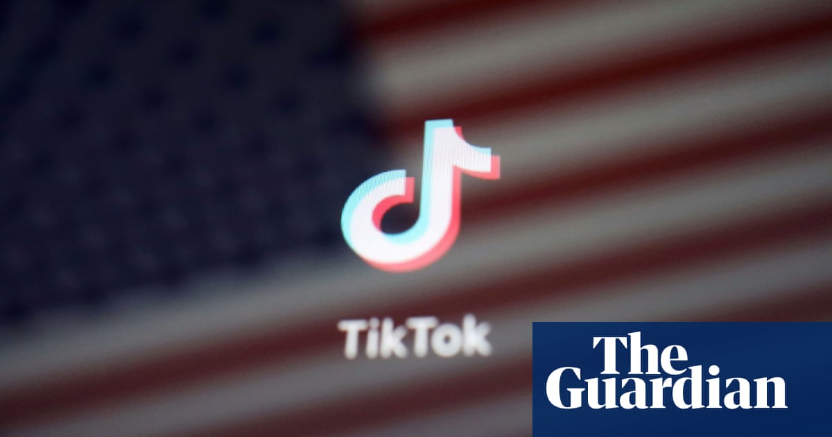 TikTok: false posts about US election reach hundreds of thousands
