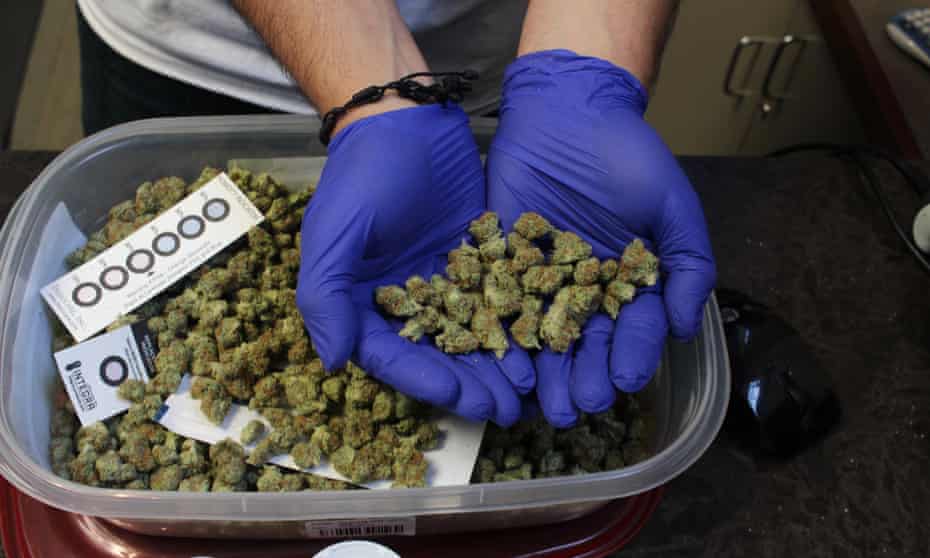 A worker at a medical marijuana dispensary in the Boston suburb of Brookline shows off a handful of cannabis.