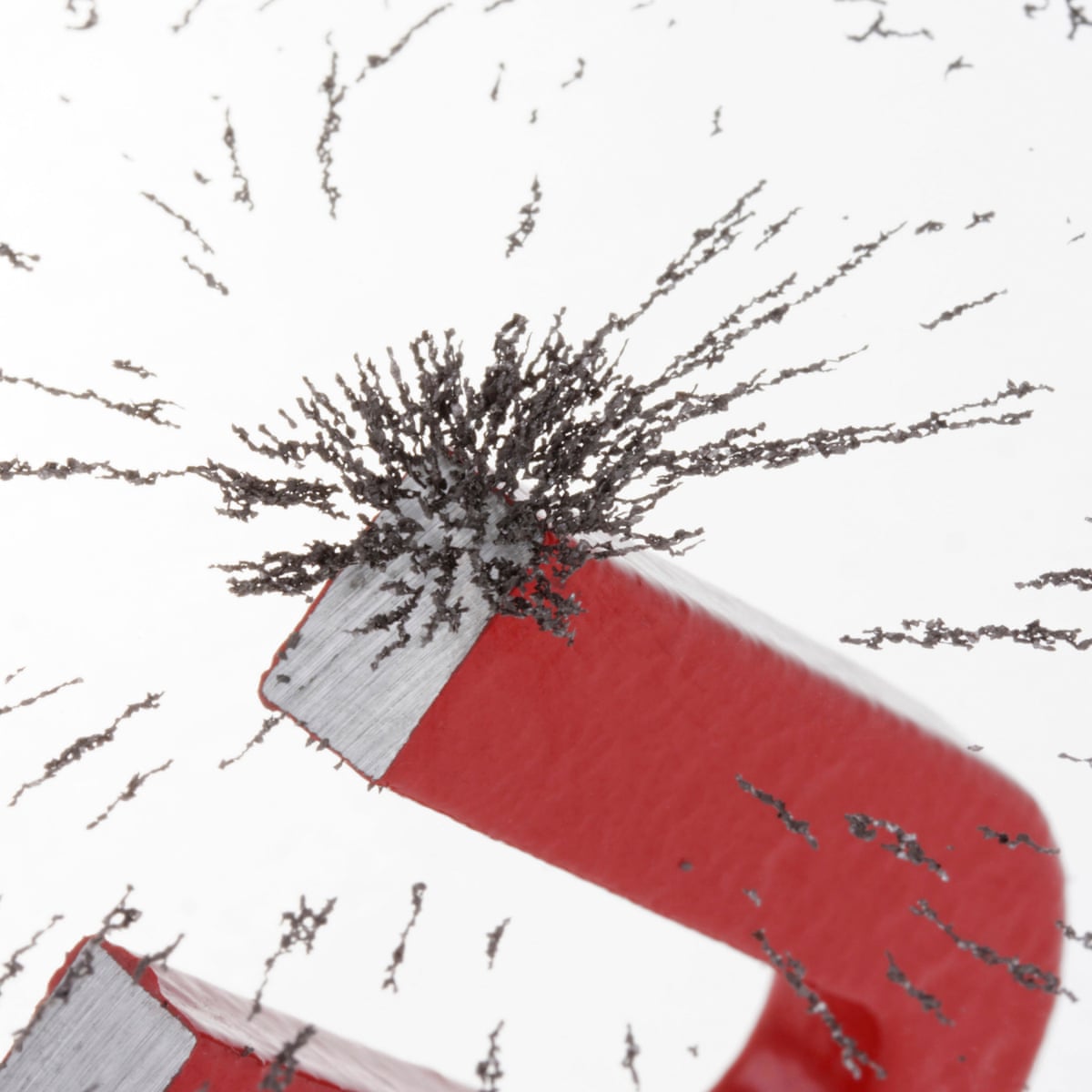 Pole Position Human Body Might Be Able To Pick Up On Earth S