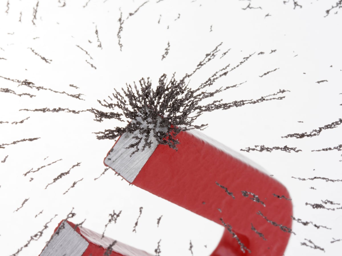 Pole Position Human Body Might Be Able To Pick Up On Earth S