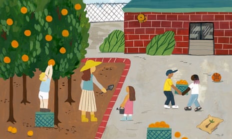 An illustration showing children and a woman harvesting oranges from a tree.