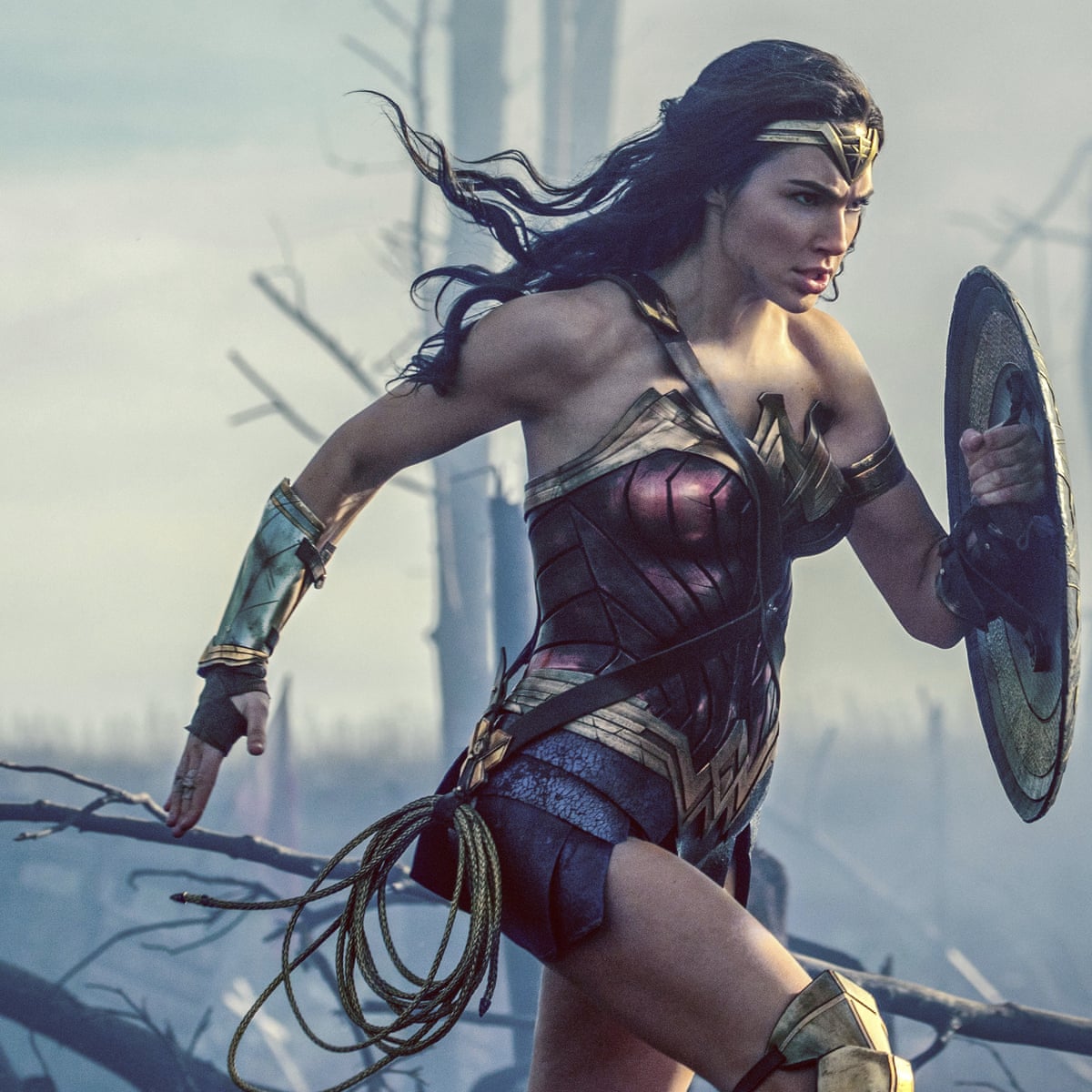 DVD reviews: Wonder Woman; of Mine; Chicken; | DVD and video reviews | The