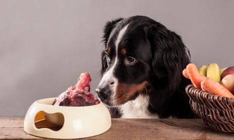 Researchers say there is no evidence of health benefits for dogs and cats from a raw meat diet, and that it can cause injuries, growth problems and illness.