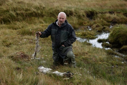 A man kneels on grass with a stream in the background holding up a spine, with other animal remains in front of him