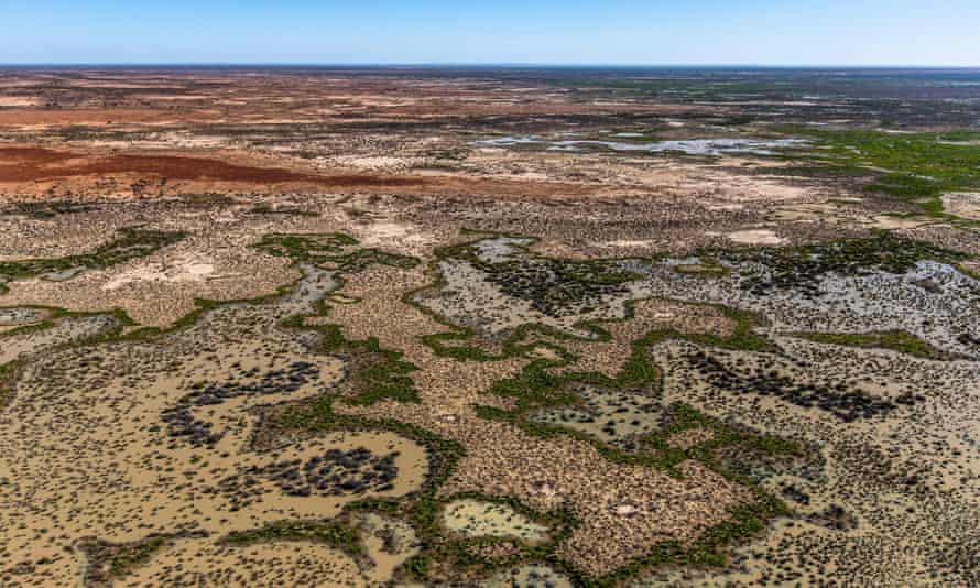 Narriearra station is being turned into a national park to help protect threatened species