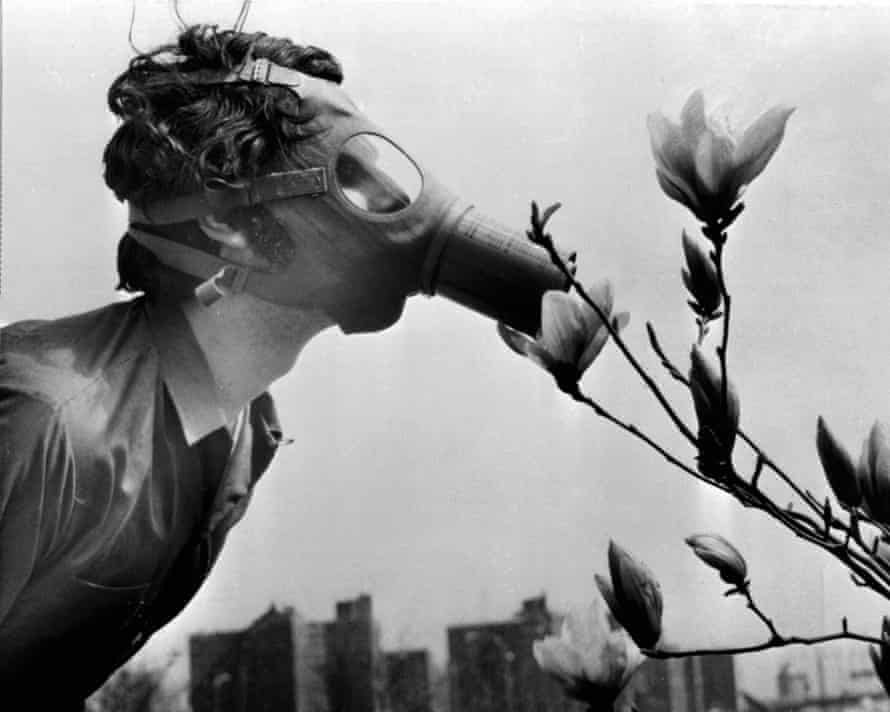 April 22, 1970: a Pace College student in a gas mask “smells” a magnolia blossom in City Hall Park on the first Earth Day, New York