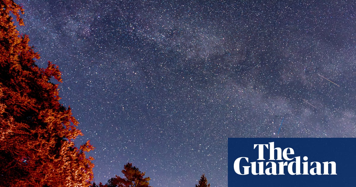 Stargazing in the Lake District: a new forest observatory opens in Grizedale