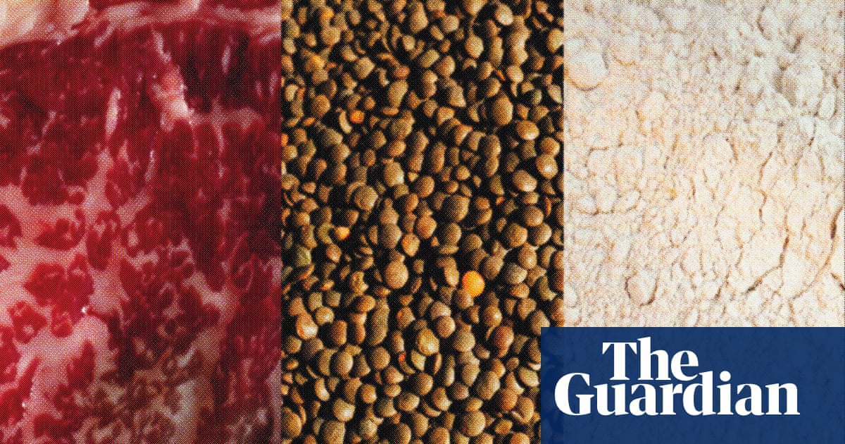 ‘People should aim to get a variety’: the pros and cons of popular protein sources