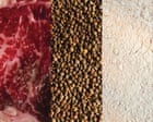 ‘People should aim to get a variety’: the pros and cons of popular protein sources