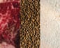 side by side close-up images of red meat, lentils and protein powder