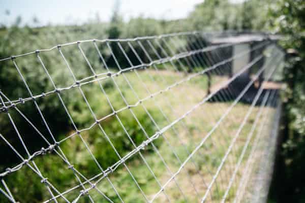 Barbed wire around the lynx fence at Gow Farm.