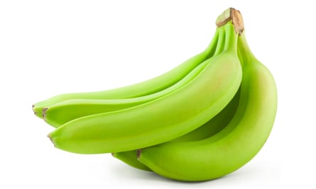 Very under-ripe bananas …