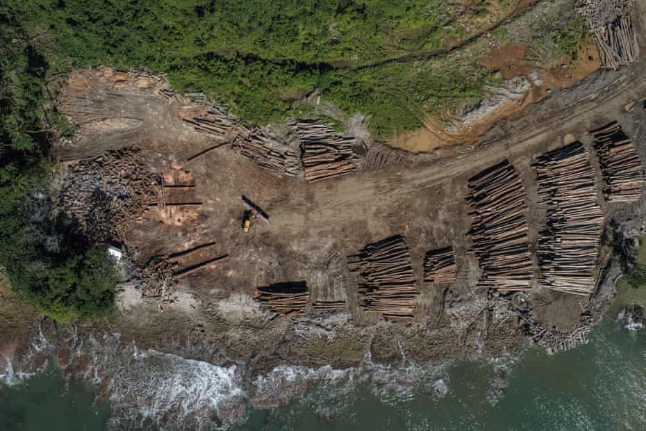 China secara teratur mengklaim lebih dari 90% ton kayu yang diekspor oleh Papua Nugini dan Kepulauan Solomon.