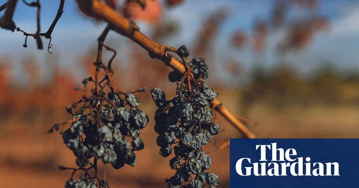 French winemakers battle for survival' as minister prepares for crisis talks