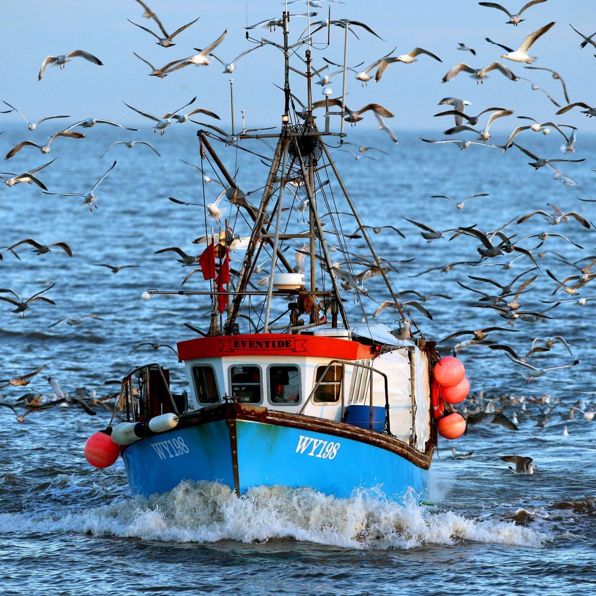 Reduce EU quotas to stop overfishing | Letters | The Guardian