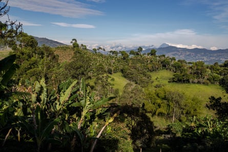 A green field with mountains in the distance.