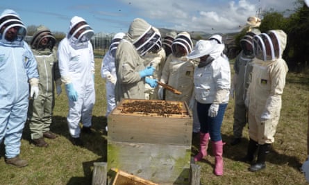 Visitors, stood by a hive, learn about beekeeping on one of the centre’s regular courses. National Beekeeping Centre, Conwy, Wales.