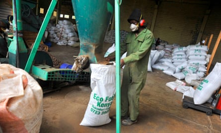 Man bags up croton nuts for fertiliser use