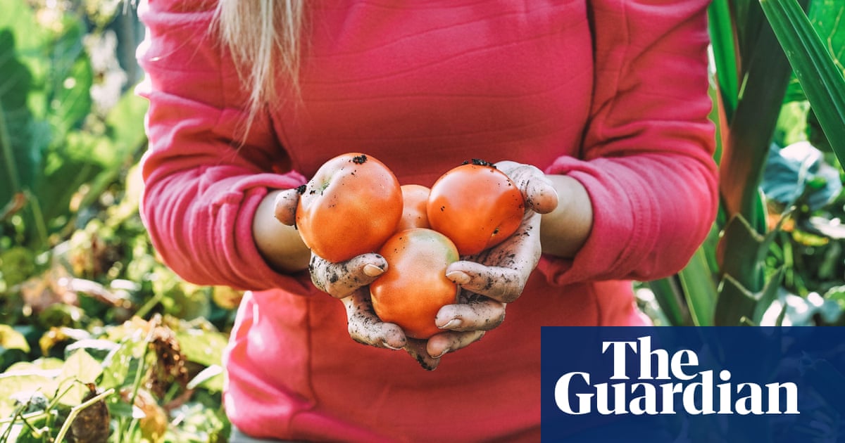 'Let things go feral': how to do carbon-positive gardening in your own back yard