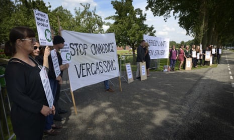 Animal activists protest outside a poultry farm in Witteveen, the Netherlands, over contaminated eggs.