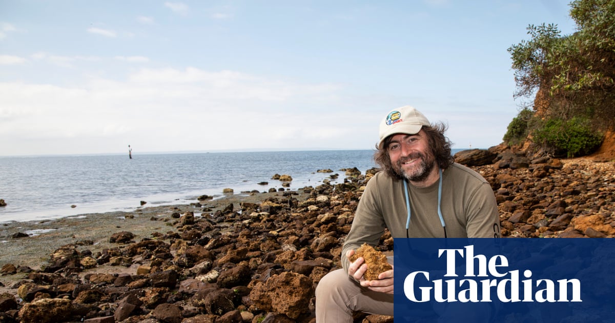 ‘All you need are your eyes’: a stretch of Victorian shore is a magnet for fossil fossickers