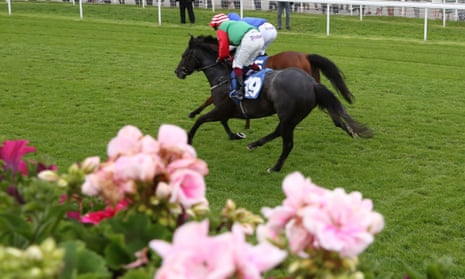 Build a Horse Race Handicapping Algorithm That Wins in 2025 » The Free PPs Build a Horse Race Handicapping Algorithm That Wins in 2025 » The Free PPs