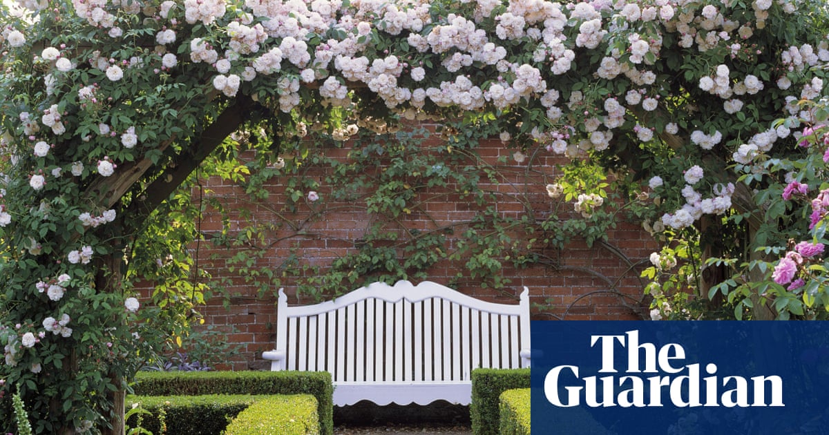 Gardening Makes You Feel Good Life And Style The Guardian