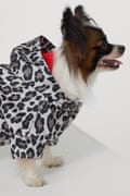 Model wears a reflective dog jacket, £14.99, H&M