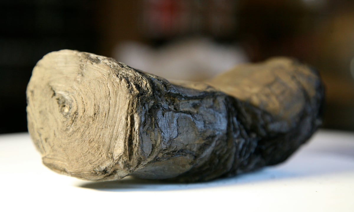 Ancient scrolls charred by Vesuvius could be read once again, Archaeology