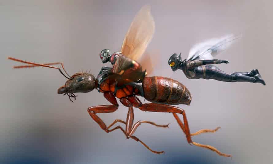 Buzzing … Paul Rudd and Evangeline Lilly in Ant-Man and the Wasp.