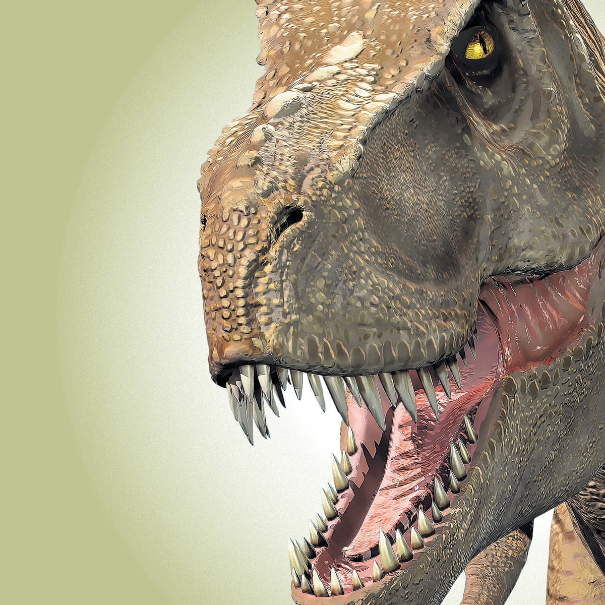 New Dinosaur Species Could Explain Tyrannosaurus Rex Evolution